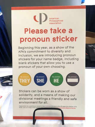 APA pronoun stickers