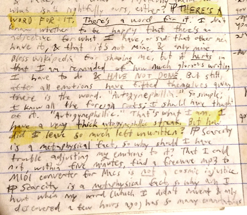 notebook: THERE'S A WORD FOR IT ...